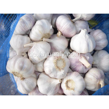 Neuer Ernte-Knoblauch 2019 für den Export